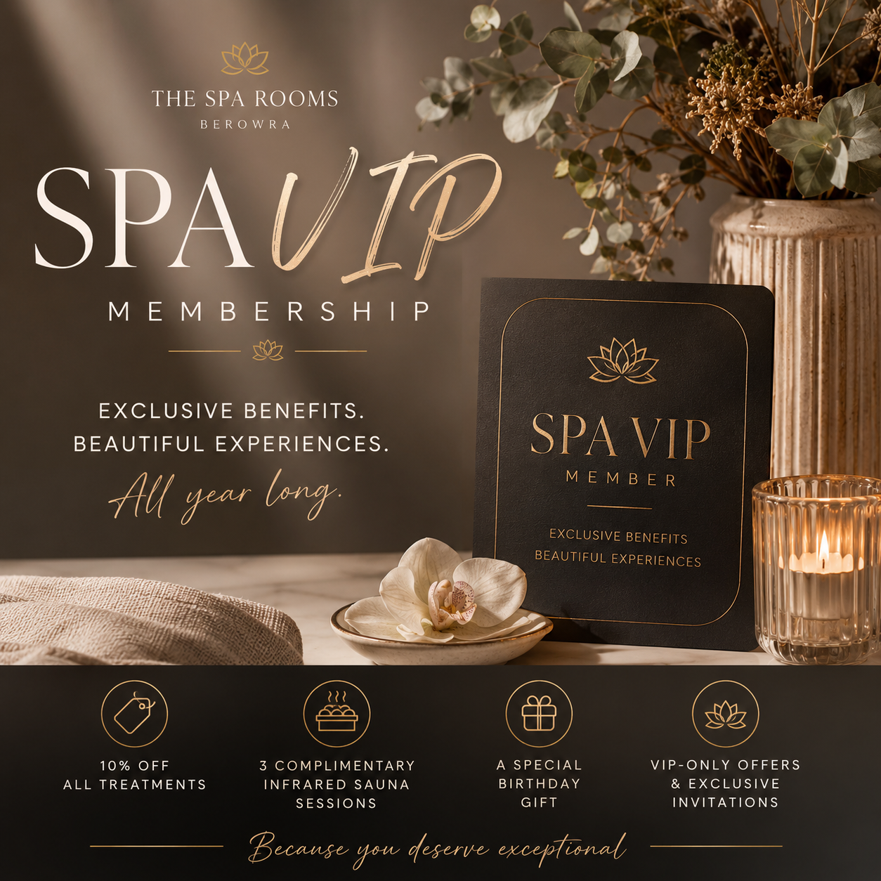 VIP MEMBERSHIP June 2026-June 2027